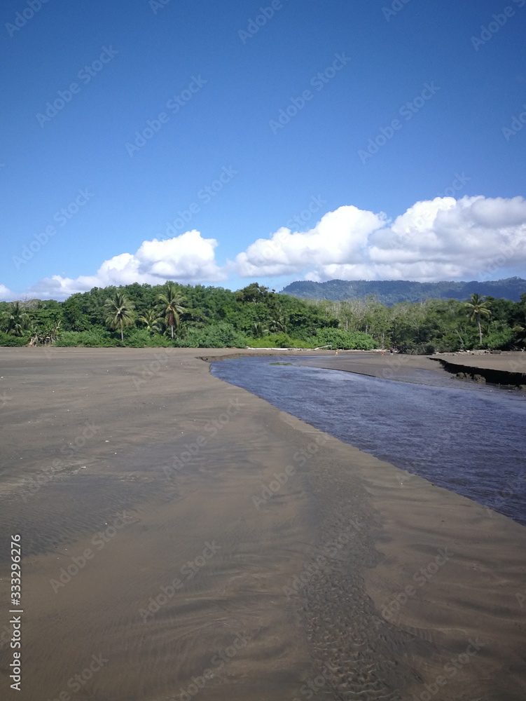 Fototapeta premium Caribbean beach with palms in sunset light