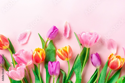 Spring flowers  - bunch of pink tulip flowers on rose background