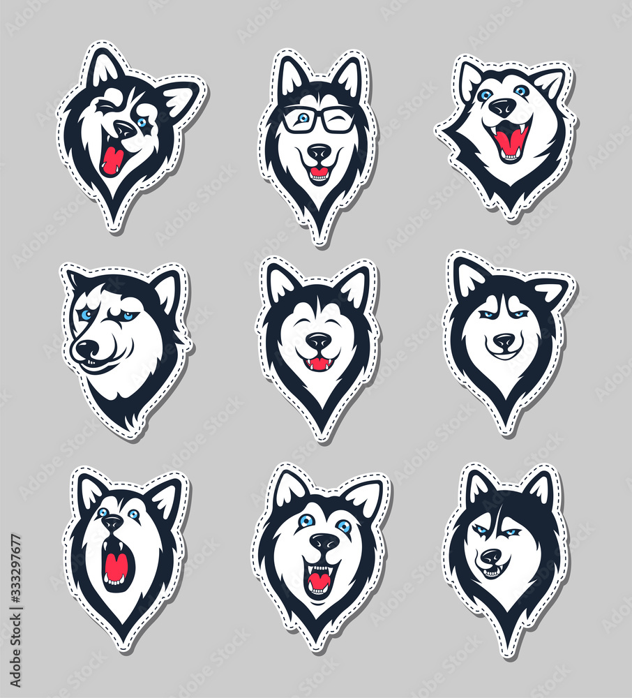 Fototapeta premium Set of siberian husky stickers. Dog in different emotions. Illustrations for prints, logos, websites, and apps.