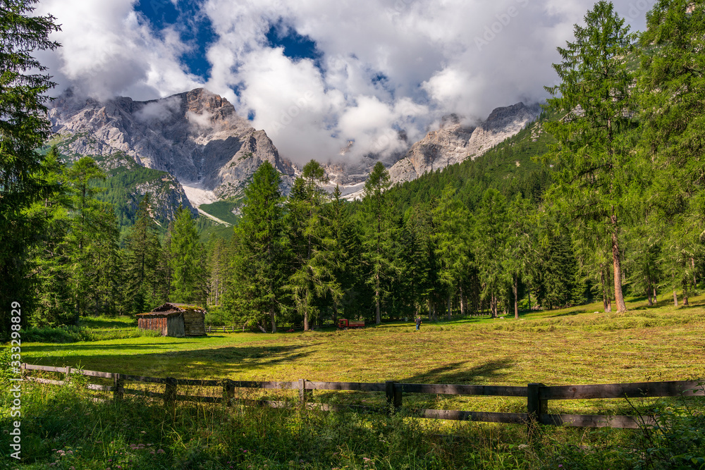 Farmer on a pasture in South Tyrol, Italy