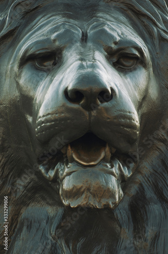 Full frame heroic close-up of the fierce face of  a Trafalgar Square lion, installed in 1867 in London, UK, 