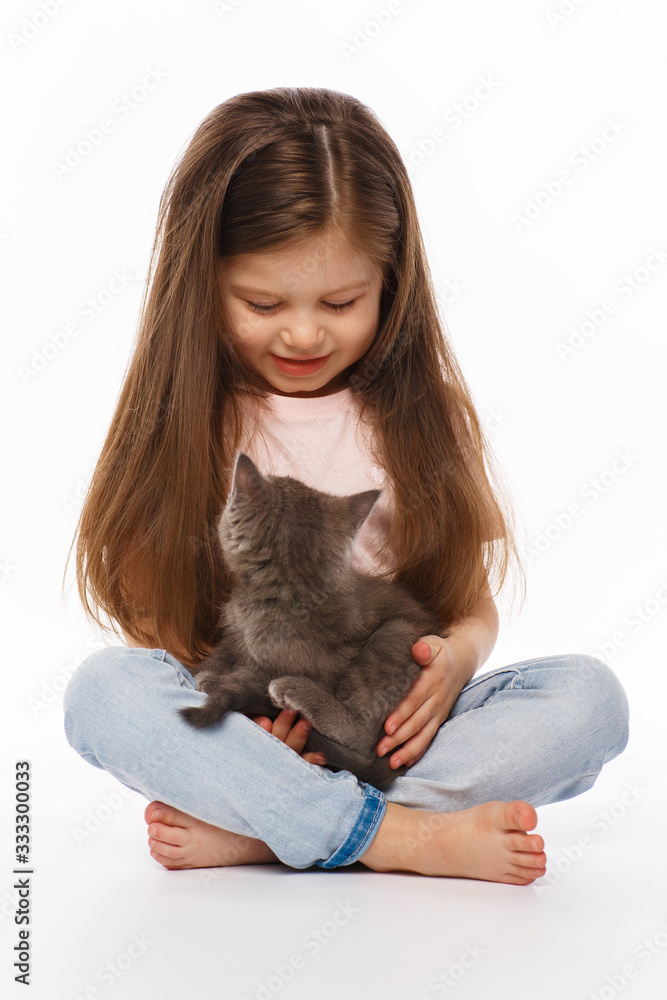 Little cute girl with a gray british kitten