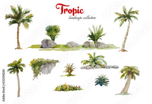 Set of watercolor palm trees , stones and tropical plants isolated on white background for landscape design