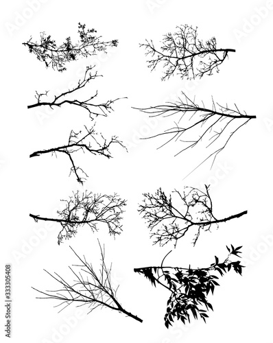A set of sprigs of trees without leaves. Vector illustration
