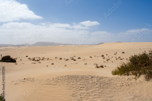 Sand Dunes in Corralejo, Fuerteventura, Canary Islands, Spain. Sand or Desert against Blue sky 