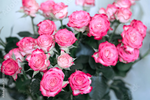 Beautiful bouquet of soft pink roses. Background © Vita Monart