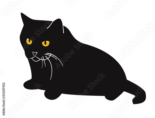 Big black cat