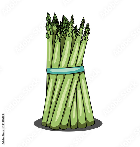 Single bunch of asparagus on white background