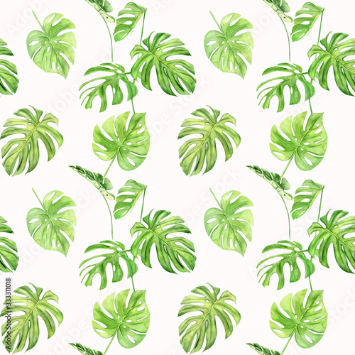 Watercolor illustration seamless pattern of tropical leaf monstera. Perfect as background texture  wrapping paper  textile or wallpaper design. Hand drawn