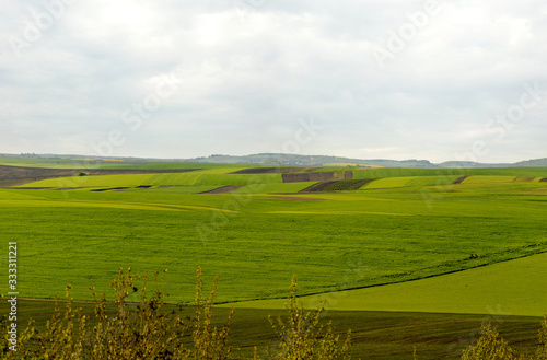 panoramic view of geometric patchwork of gardens, agricultural lands, farmlan...