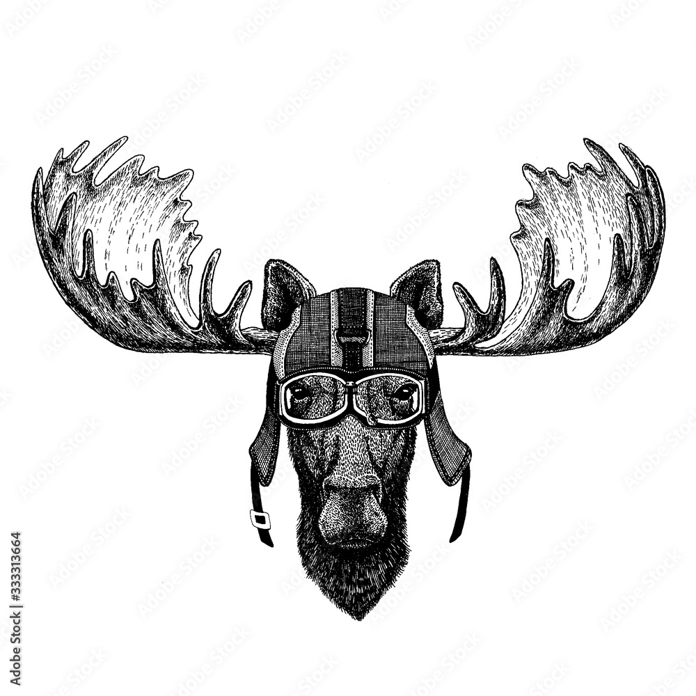 Fototapeta Moose, elk. Hipster animal wearing motorycle helmet. Image for kindergarten children clothing, kids. T-shirt, tattoo, emblem, badge, logo, patch