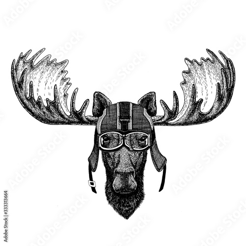 Moose, elk. Hipster animal wearing motorycle helmet. Image for kindergarten children clothing, kids. T-shirt, tattoo, emblem, badge, logo, patch