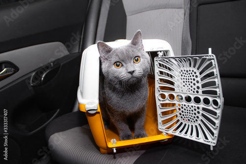 Pet carrier in the car on the seat . Safe transportation of Pets.. Traveling with an animal.
