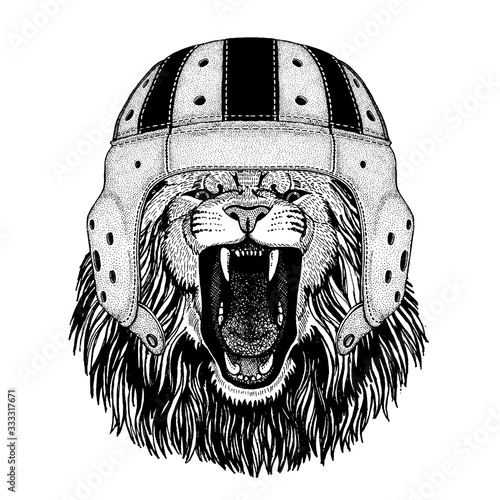 Lion. Portrait of animal wearing rugby helmet