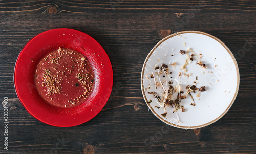 Two plates at opposite sides. Red plate with salad leftovers and white plate with fish bones. Vegetarianism and pescetarianism or meat eating concept