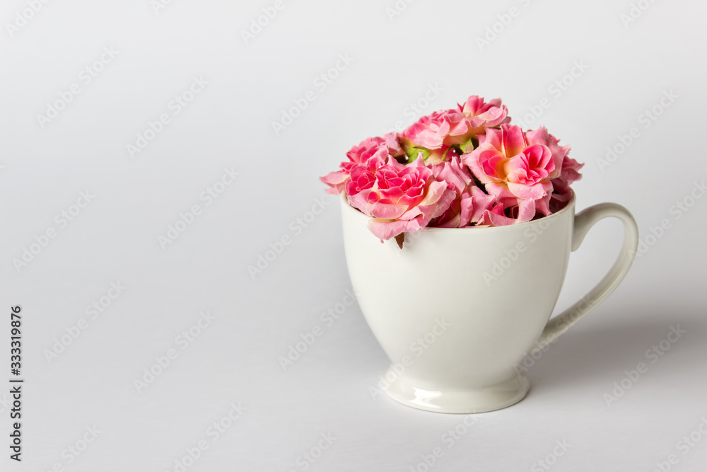 Creative greeting card or invitation card with pink roses in white porcelain cup on white background. Photo with copy blank space.