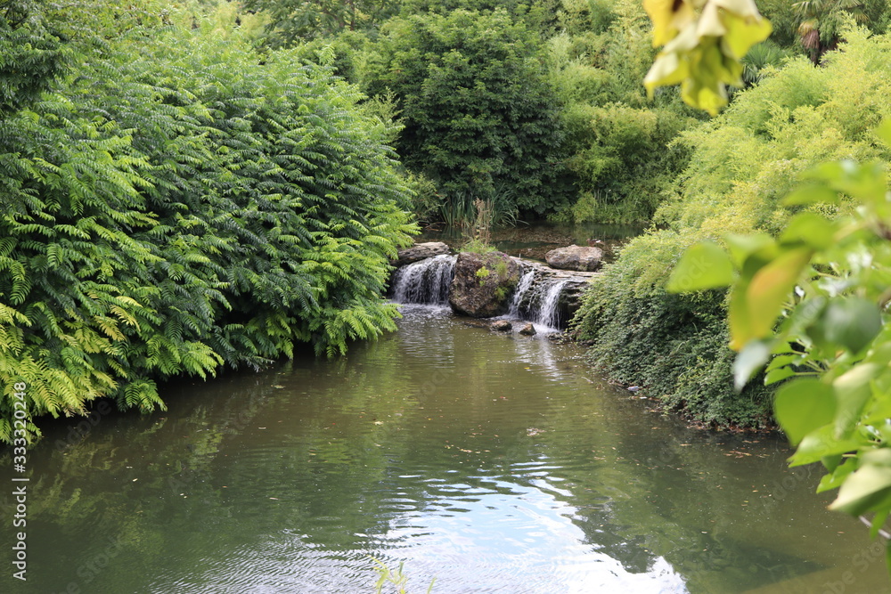 river in the forest