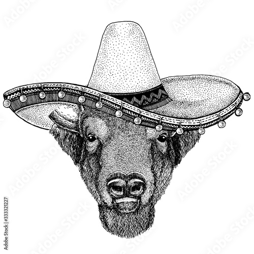 Mexican sombrero. National hat. Cinco de mayo. Day of the dead.