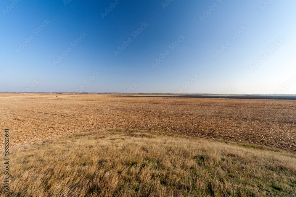 The Great Hungarian Plain on an autumn day