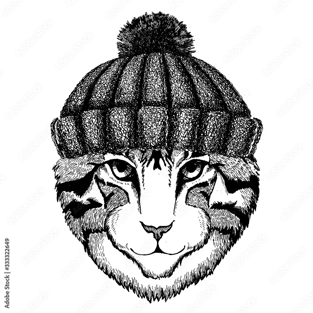 Image of domestic cat Cool animal wearing knitted winter hat. Warm headdress beanie Christmas cap for tattoo, t-shirt, emblem, badge, logo, patch