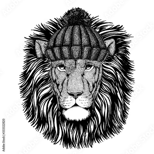 Wild lion Cool animal wearing knitted winter hat. Warm headdress beanie Christmas cap for tattoo, t-shirt, emblem, badge, logo, patch