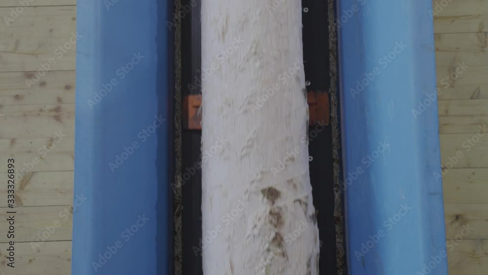 Sawmill machine for cutting wood boards by using rolling metal cylinders and set blades, lots of sawdust. Lumber industry Sawmill machine for cutting wood boards by using rolling metal cylinders and set blades, lots of sawdust. Lumber industry
