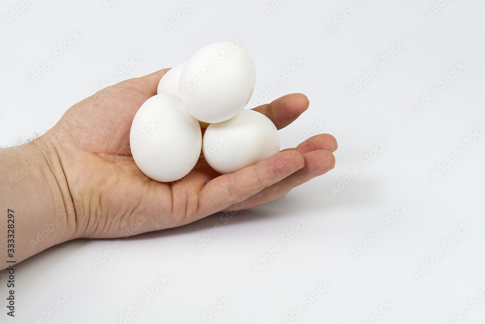 mens hand with chicken white eggs isolated over white mens hand with chicken white eggs isolated over white