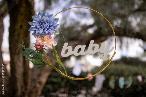 Baby shover gender reveal decoration