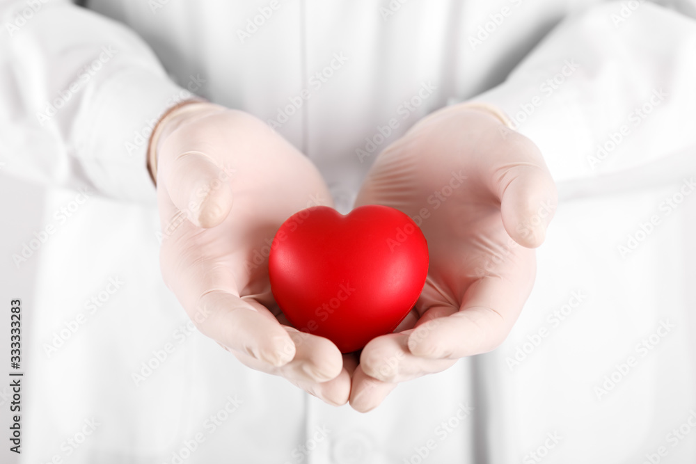 Male doctor holding heart in hands