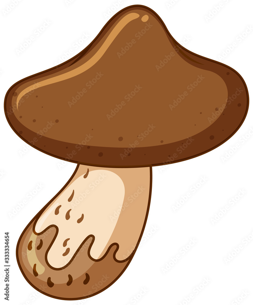 One brown mushroom on white background