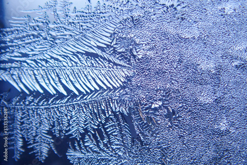 macro ice on the glass in winter Patterned like leaves	