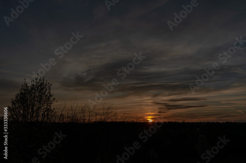 sunset in forest