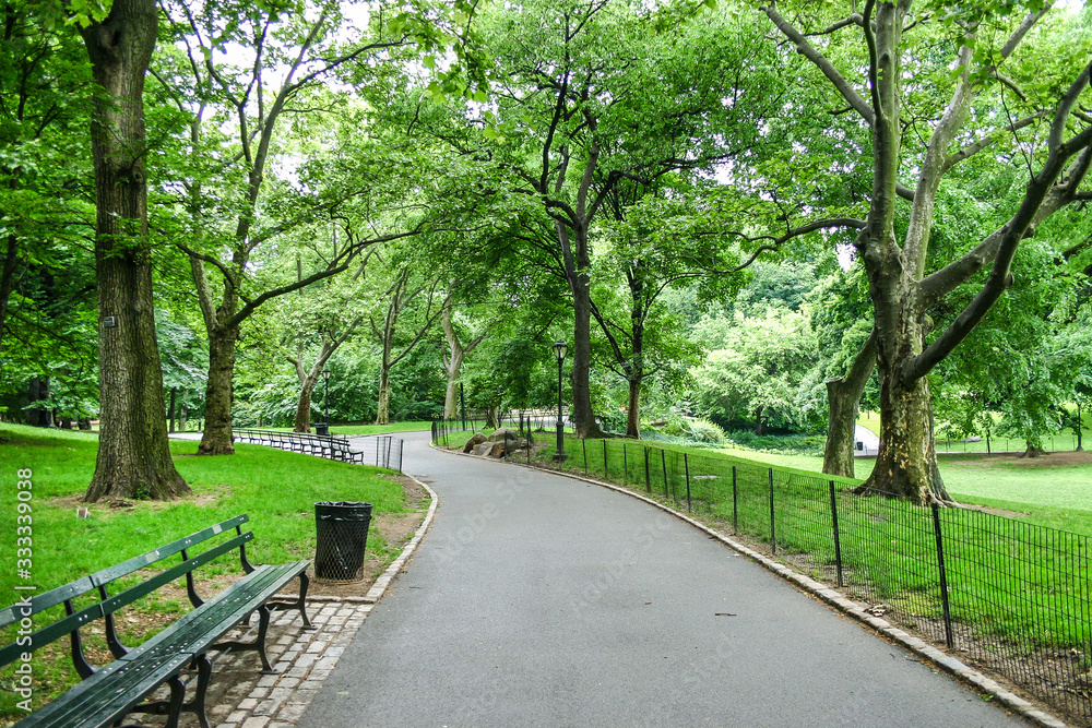 Lonely Central Park, New York City