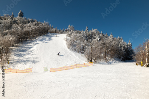 skiers on slope with snow covered trees