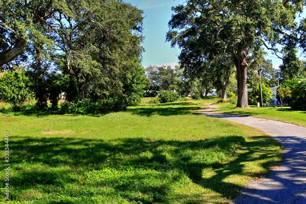 Fototapeta premium Overgrown landscapes in Florida state