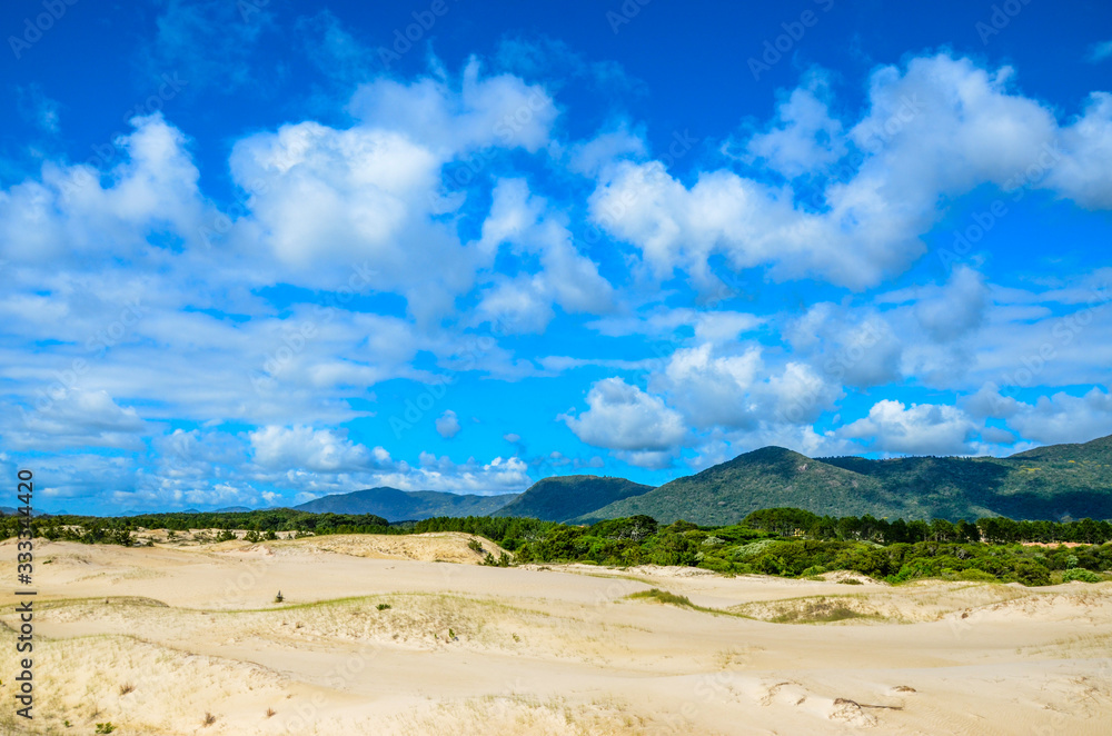 Deserted dunes under the blue sky.