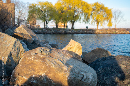 A Rock on the Deleware River at Penn Treaty Park photo