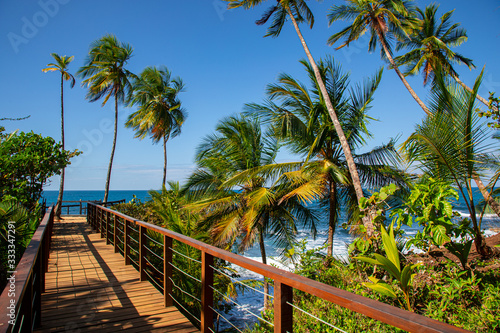 Φωτογραφία Viewing platform at national park of manzanillo in costa rica at the caribbean
