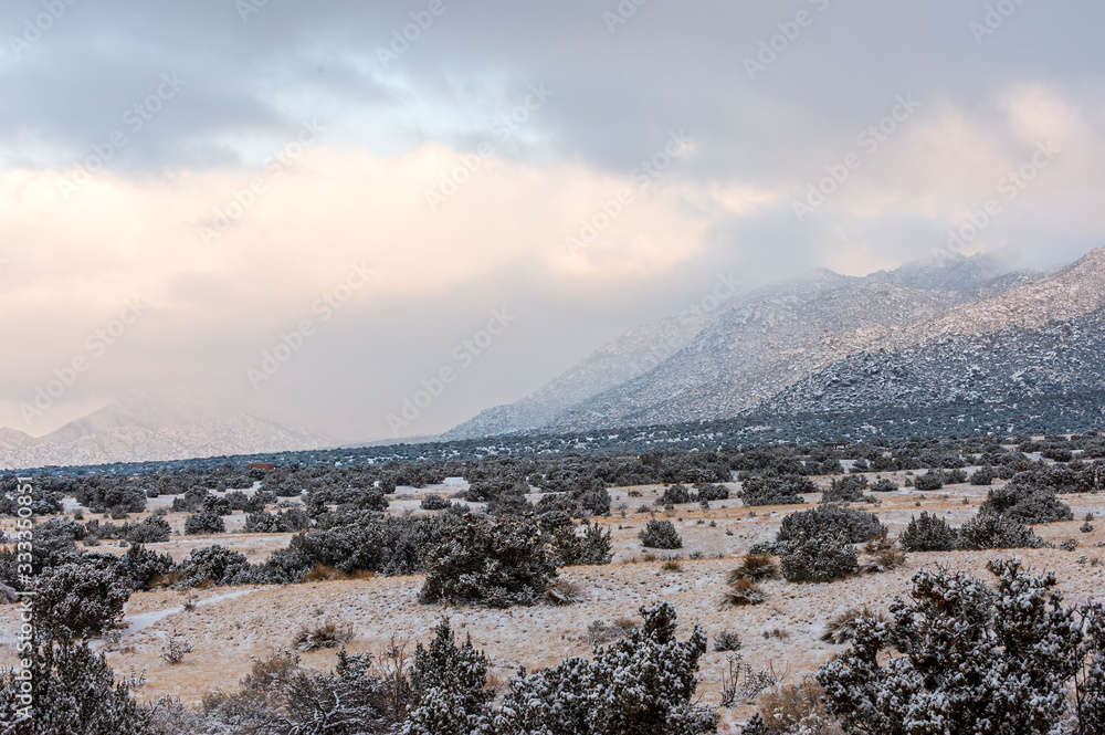  Snow Squal in the Western Mountain Foothills