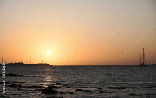 a view of a seagull flying over the atlantic ocean of the coast of the port of Punta del Este, Maldonado, Uruguay with a colorful sunset