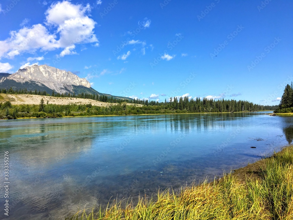 A view of the beautiful bow river in Alberta, Canada.  It is a bright summer day with the surrounding forest reflecting off the blue water.  Tall golden grass is in the foreground.
