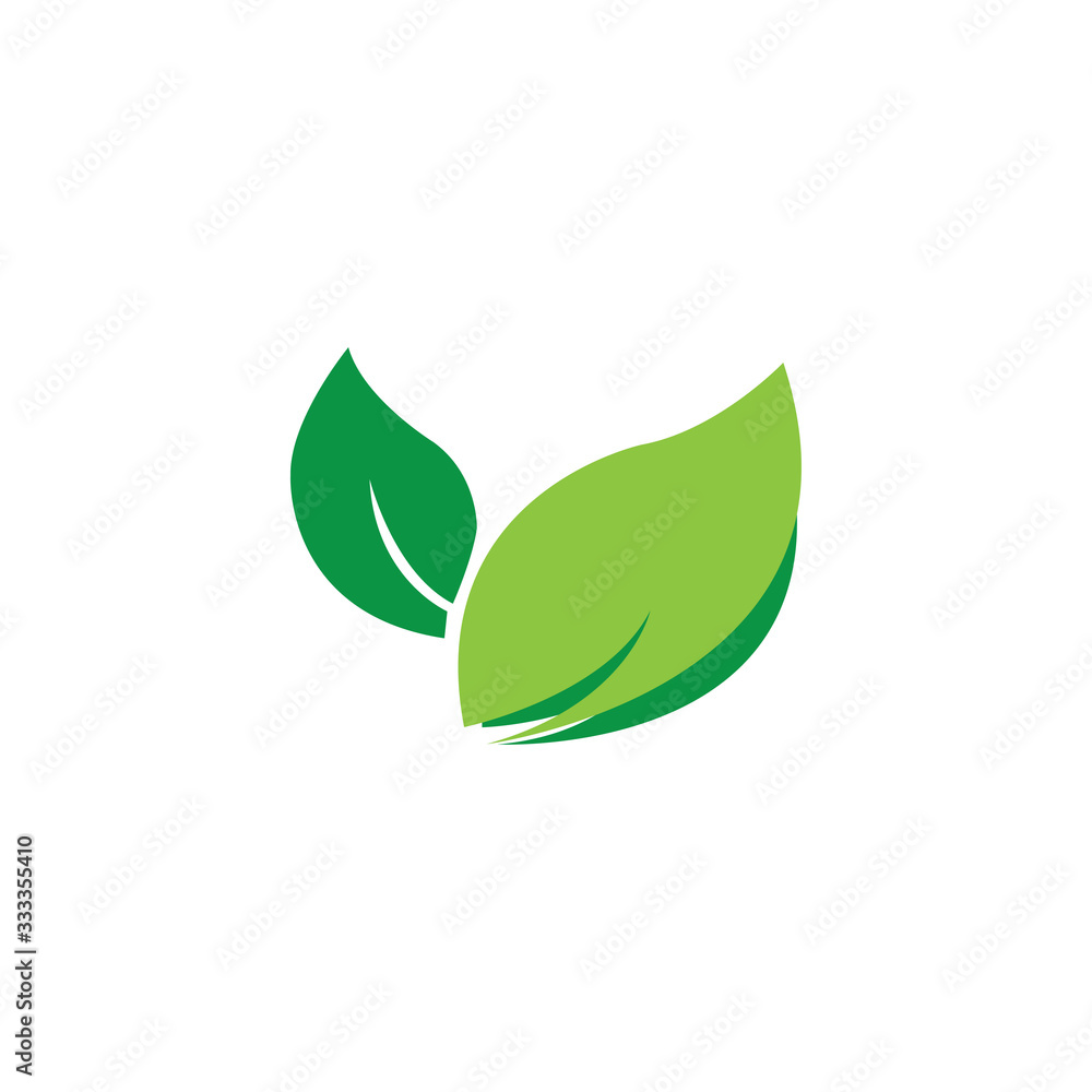 Green tea leaf illustration colorful design vector