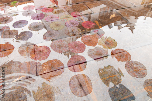 The reflection of the flower paper umbrellas in the water on the floor
