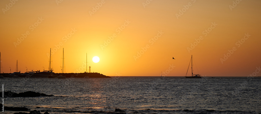 a view of a seagull flying over the atlantic ocean of the coast of the port of Punta del Este, Maldonado, Uruguay with a colorful sunset