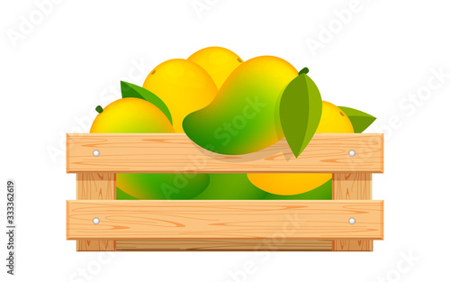 ripe mango in wood crate box isolated on white, mango fruit pack in wooden crate, illustration mango pile and crate wood for clip art, yellow mango heap in wooden box