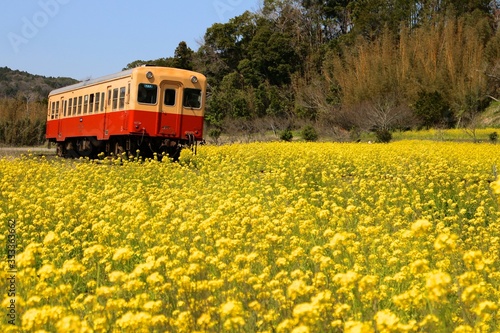 春、花、鉄道
