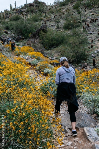 Lady walking in Yellow Flowers on Mountain Trail