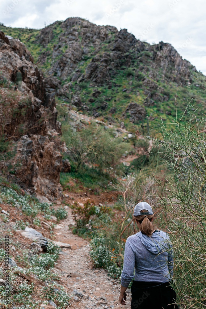 Fototapeta premium turysta w górach