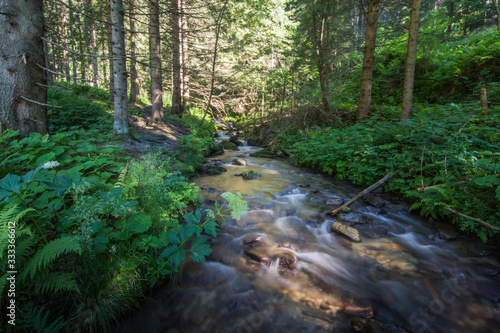 flacher bach im wald beim wandern