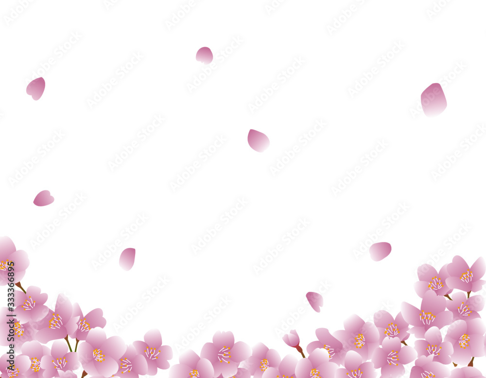 Background painted with cherry petals falling vector Background painted with cherry petals falling vector
